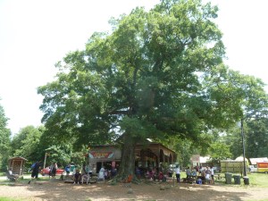 Beautiful Shakori Hills