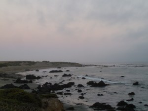 Looking up the coast