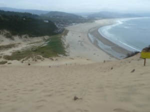 View from the dune