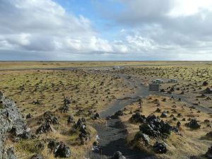 Just like all the other people did!