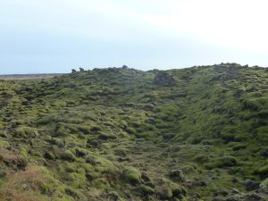 Lava covered with moss