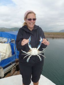 Hoping not to get nipped!