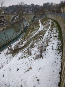 The bear gardens, but no bears