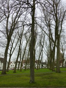 At the Begijnhof