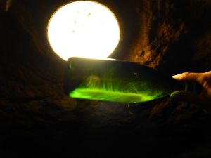 Learning how sparkling wine is made