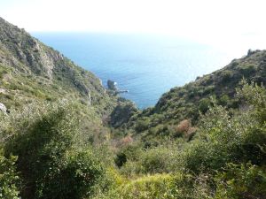 Looking down the path we hiked
