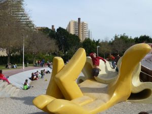 Reubs jumping on the hand
