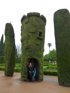 Sheltering from the rain