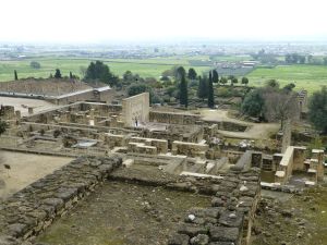 Looking over the site