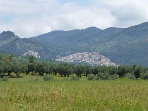 On the road to Volubulis