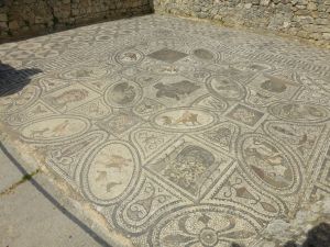 Not sure how these lasted