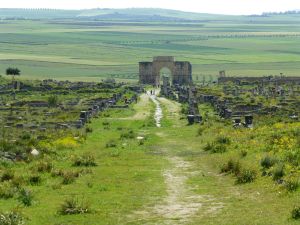 Looking down on the city