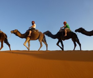 Riding in the Sahara