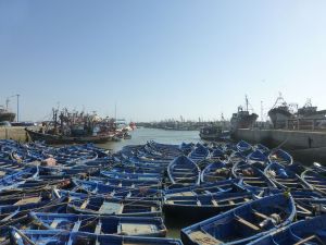 Some of the fishing boats