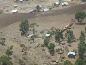 One of the birds we saw