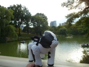 He reflected by the water