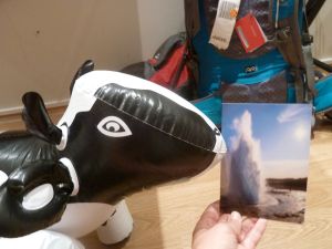 Piako - #notimpressed