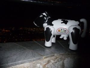 Looking down on the Acropolis