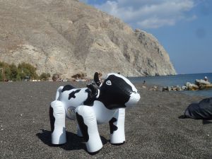 With stunning cliffs in the background