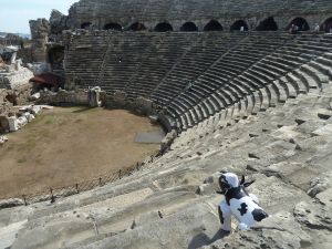 Piako surveys the theatre