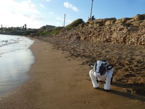 Piako on the beach in Side