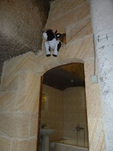 Piako in a cave room