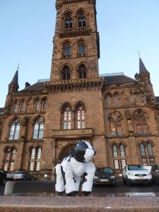 Hanging out at the university