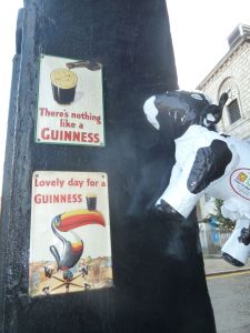 Piako surveys the advertising!