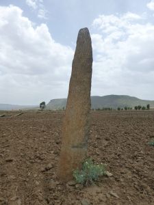 In the minor stelae field