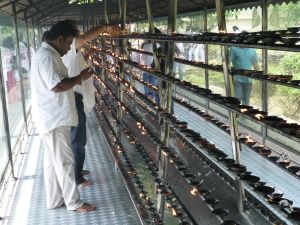 Some of the offerings