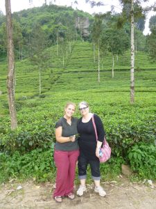 In the tea fields