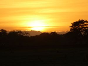 Sunset on safari