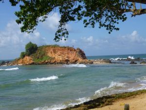 The view from breakfast