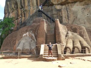 Reubs and the lions paws