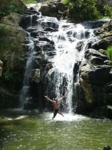 Reubs goes for a swim