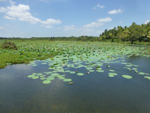 The beautiful lake we cycled around