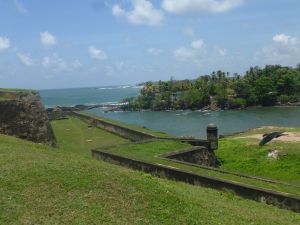 Looking out over the city
